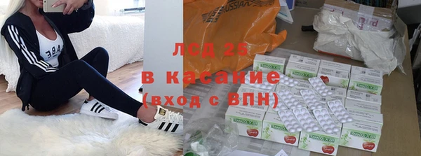 гашик Алексеевка
