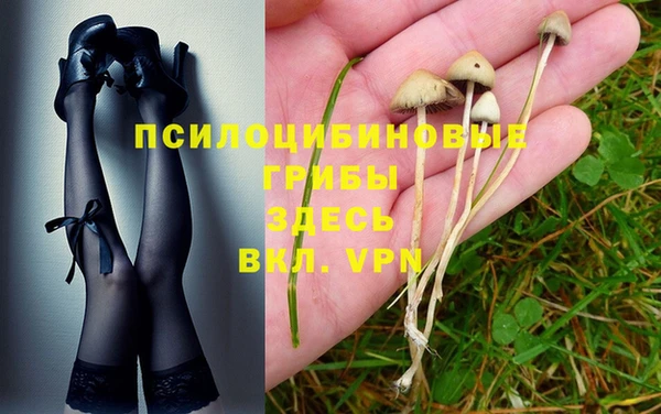 гашик Алексеевка