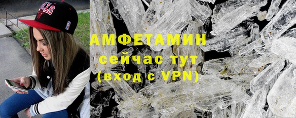 гашик Алексеевка