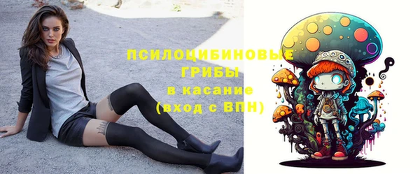 героин Алексин