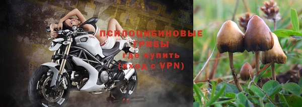 гашишное масло Алзамай