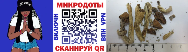 где можно купить наркотик  дарк нет состав  Псилоцибиновые грибы Magic Shrooms  Моздок 